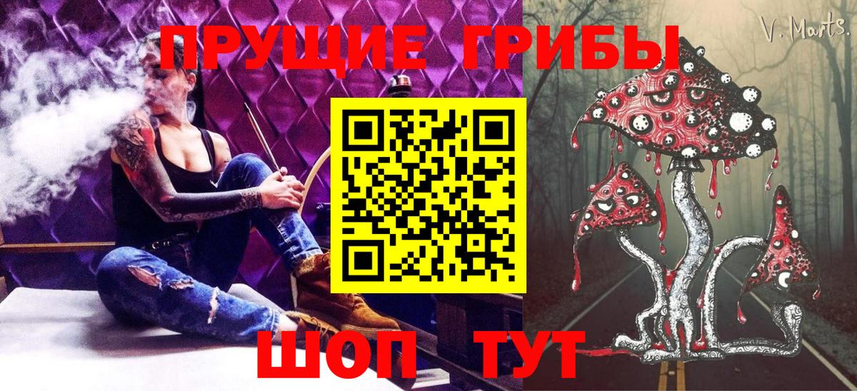 Псилоцибиновые грибы Psilocybine cubensis Златоуст
