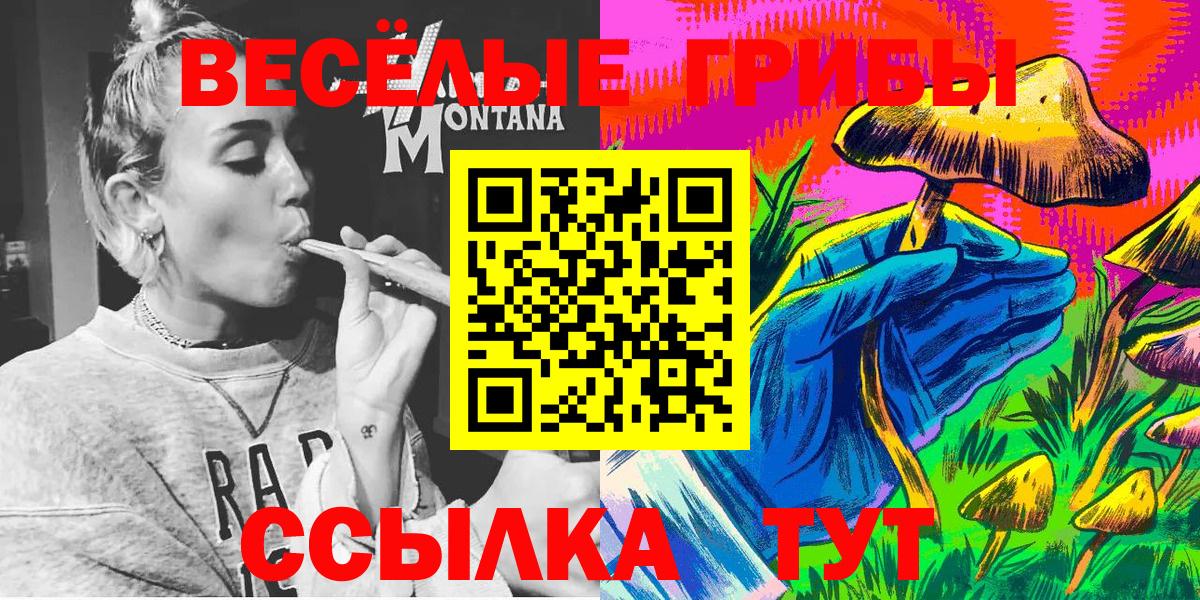 даркнет сайт  Вход с VPN  Златоуст  Псилоцибиновые грибы Psilocybine cubensis 